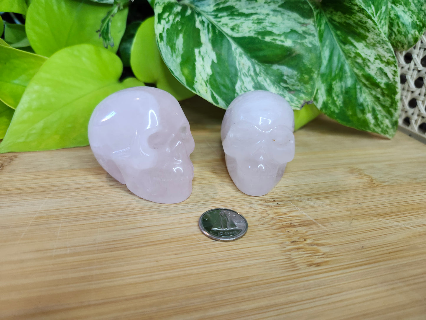 ROSE QUARTZ SKULL (CARVING)