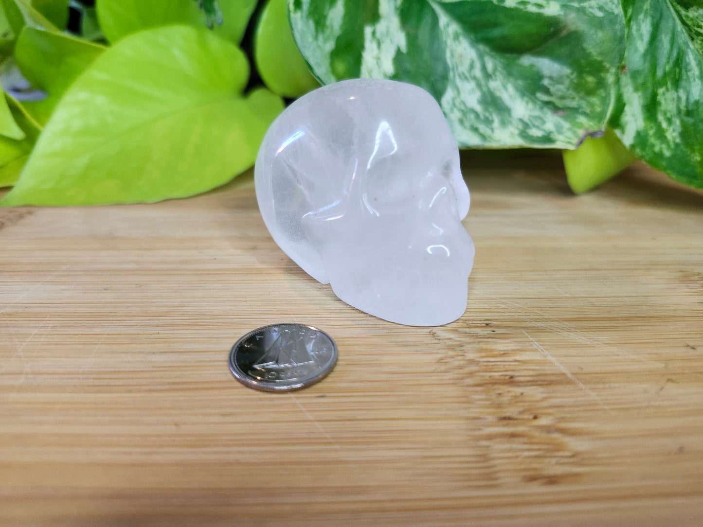 CLEAR QUARTZ SKULL (CARVING)