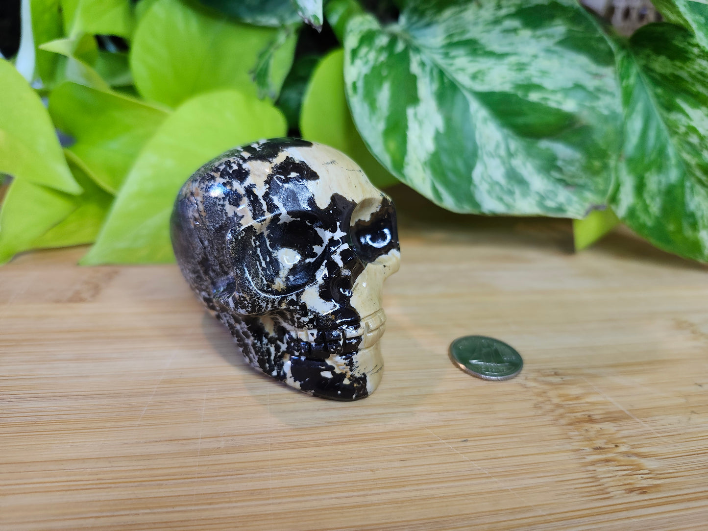 PICTURE STONE SKULL (CARVING)