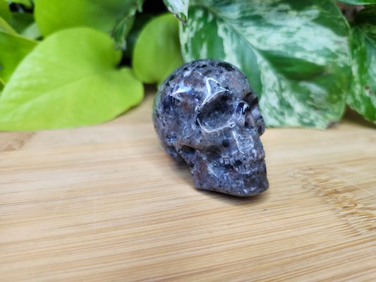 YOOPERLITE SKULL (CARVING)