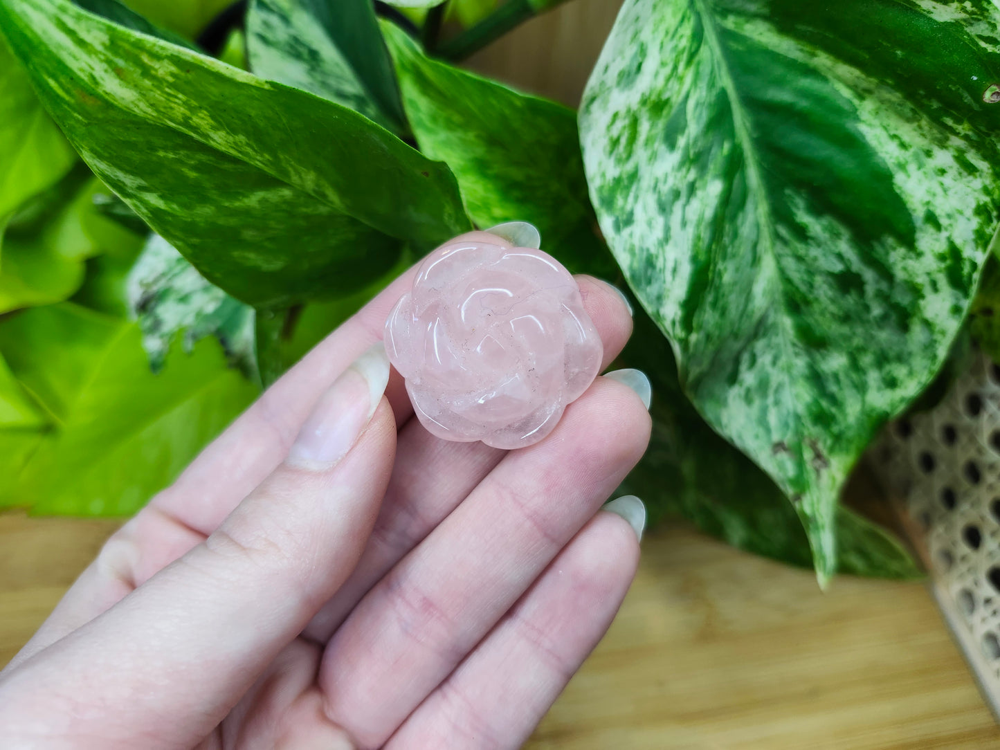 ROSE QUARTZ ROSE (CARVING)