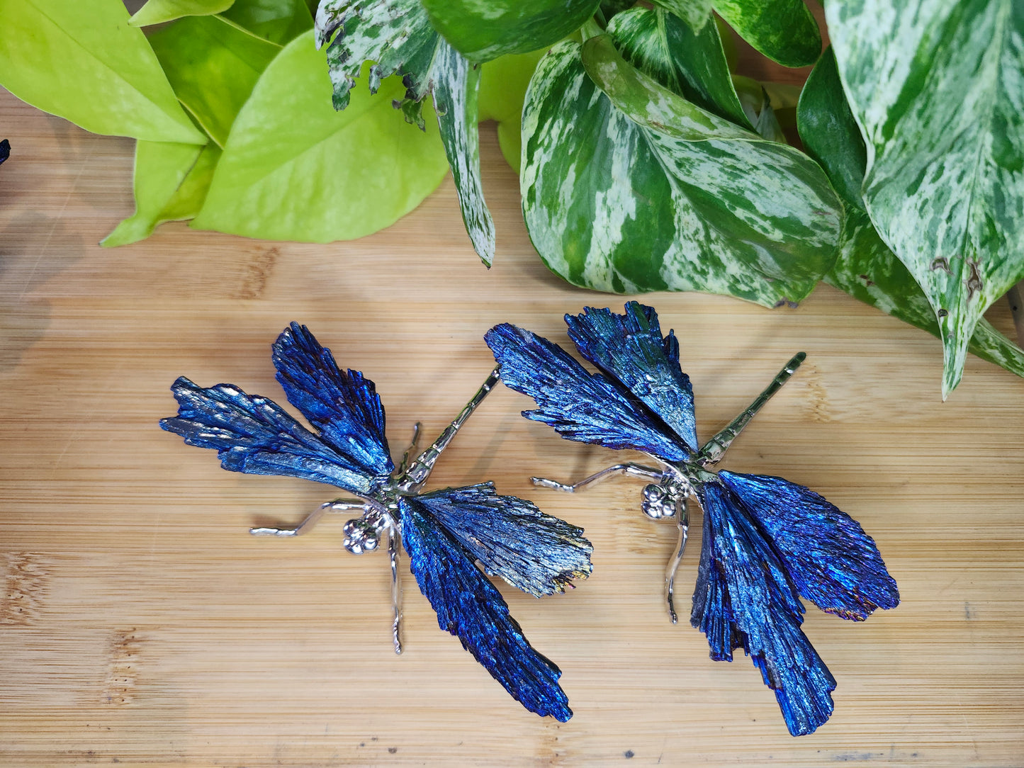 AURA KYANITE DRAGONFLY (CARVING)