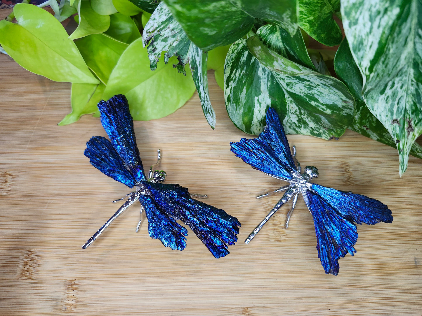 AURA KYANITE DRAGONFLY (CARVING)