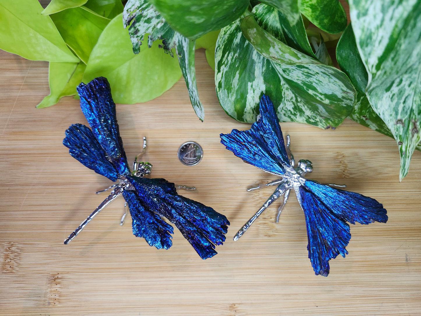 AURA KYANITE DRAGONFLY (CARVING)