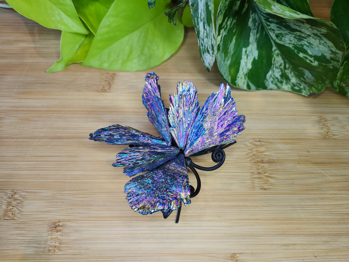 AURA KYANITE  BUTTERFLY (CARVING)