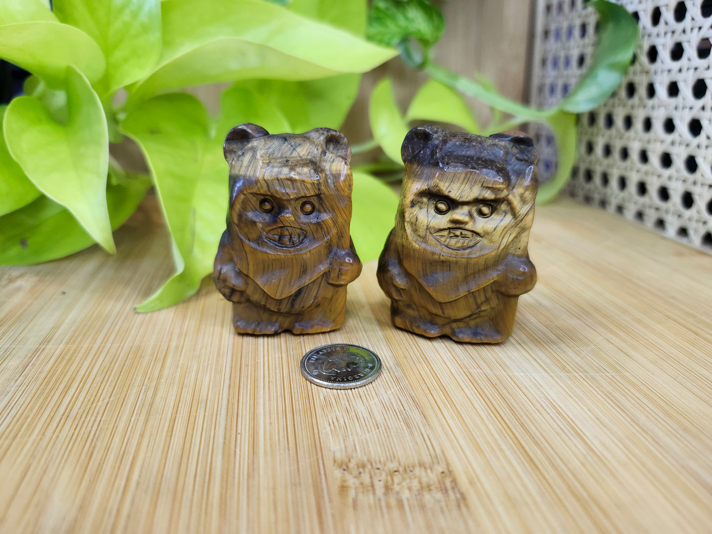 TIGERS EYE EWOK