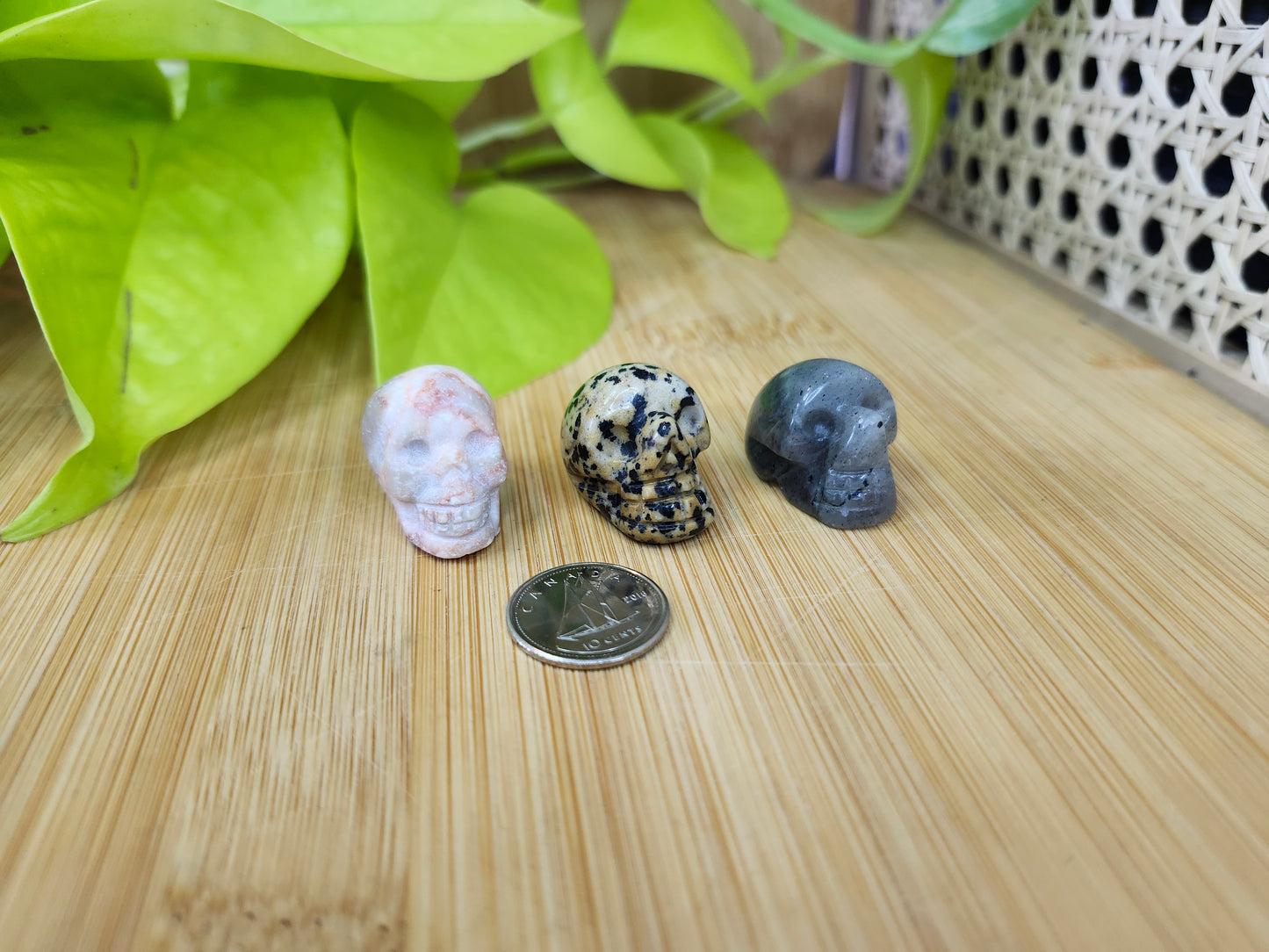 MYSTERY MINI SKULL (CARVING)