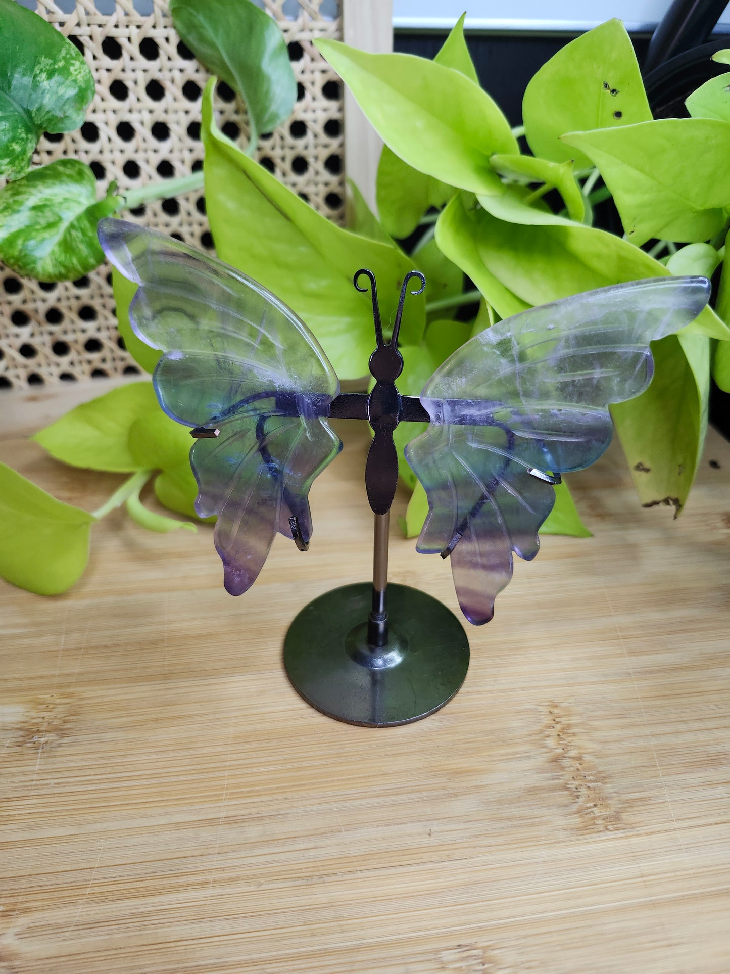 GREEN FLUORITE WINGS