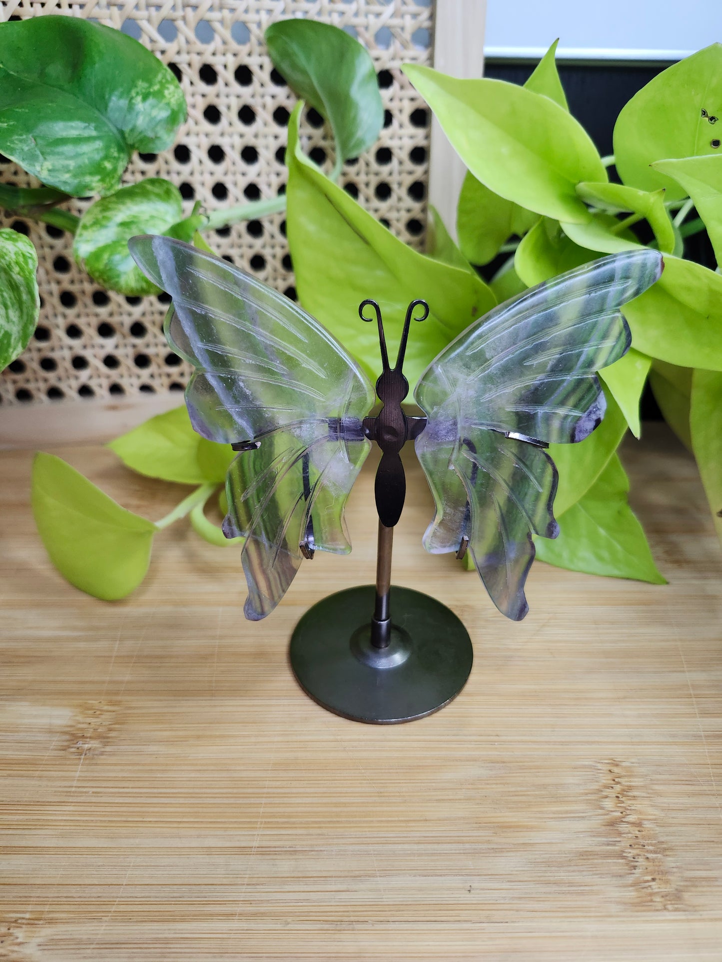 GREEN FLUORITE WINGS