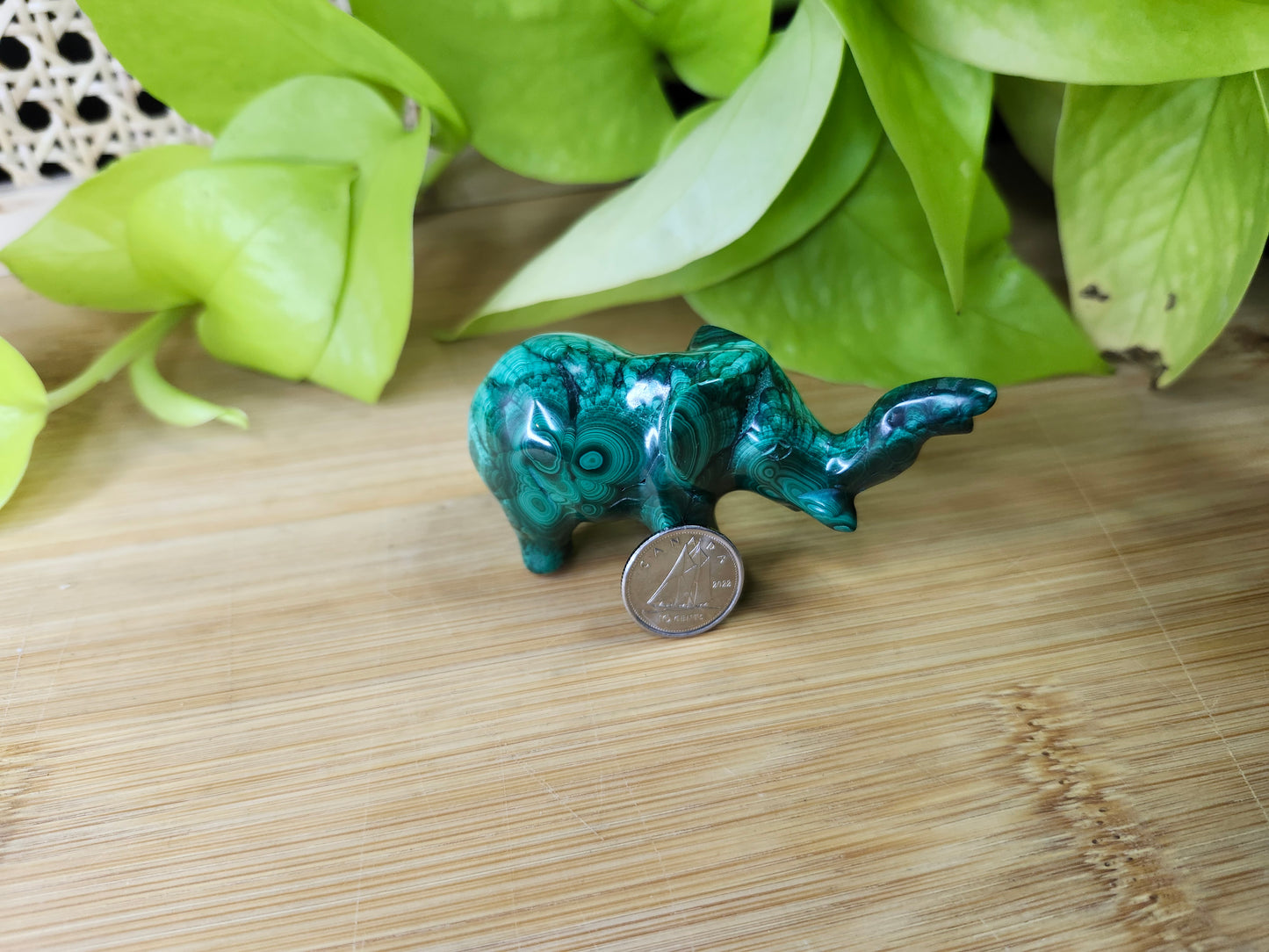 MALACHITE ELEPHANT (CARVING)