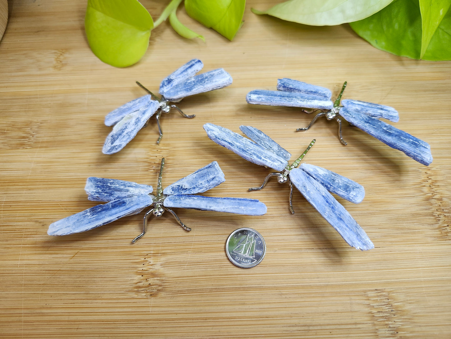 BLUE KYANITE DRAGONFLY