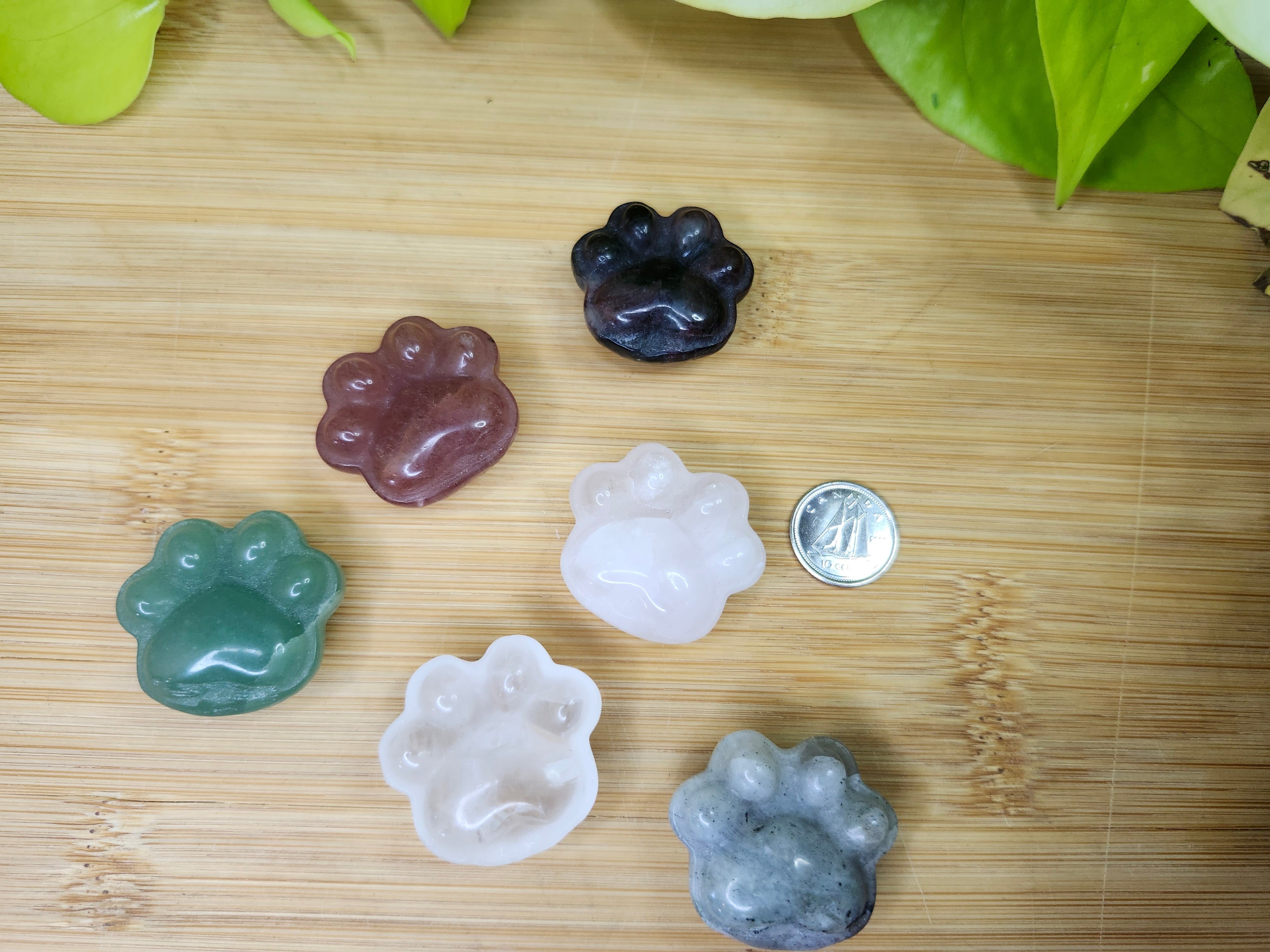 MIXED MATERIAL PAW PRINT