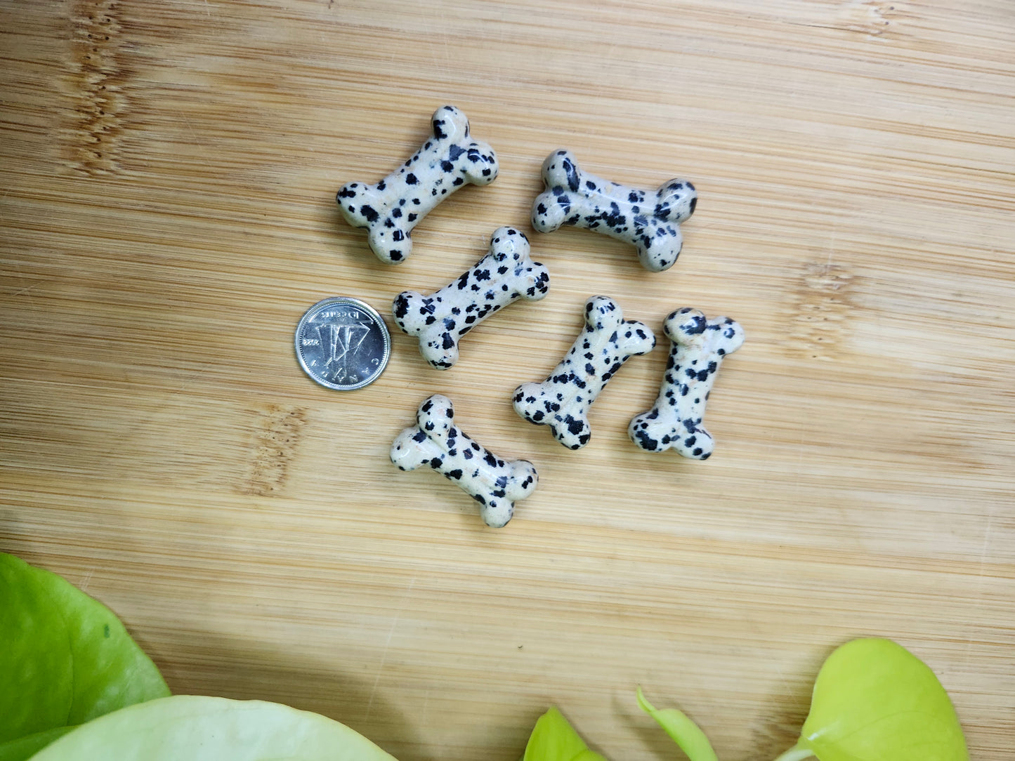 DALMATION JASPER BONE (CARVING)