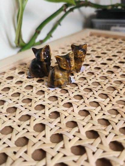 TIGERS EYE CAT