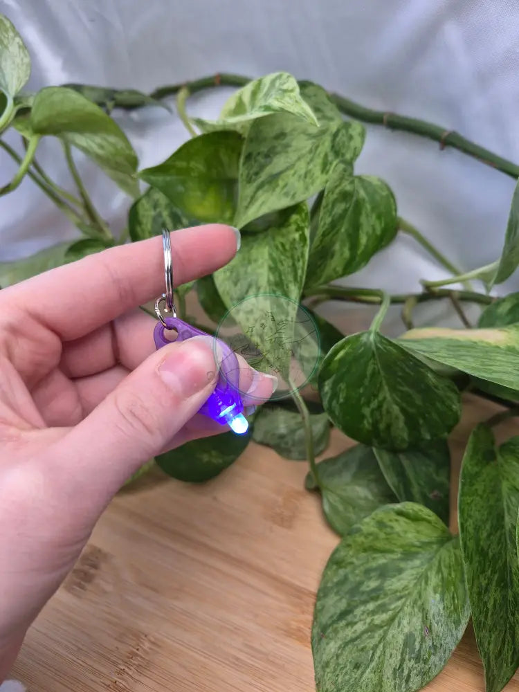 365 ALONEFIRE UV BLACK LIGHT KEYCHAIN