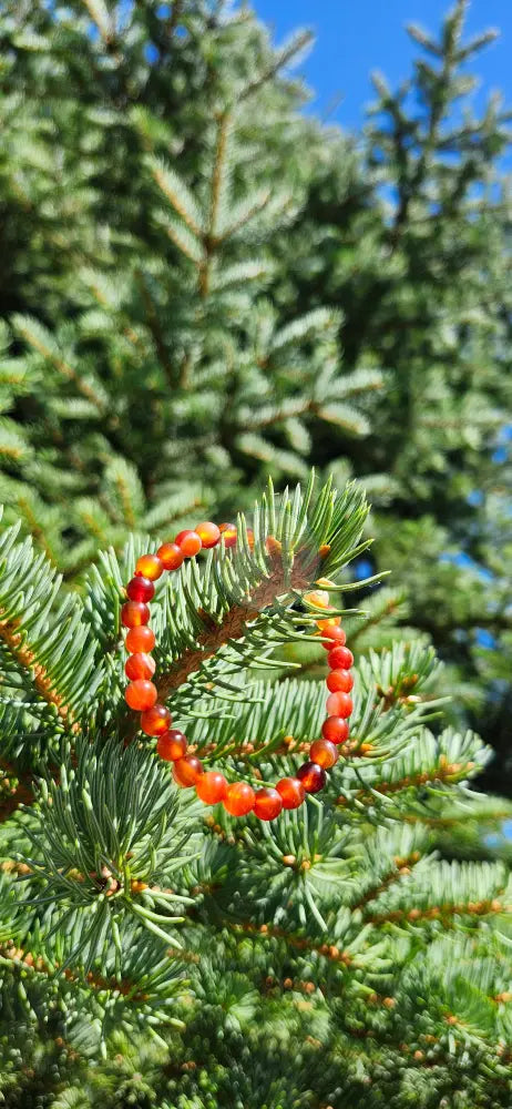 6mm CARNELIAN BRACELET