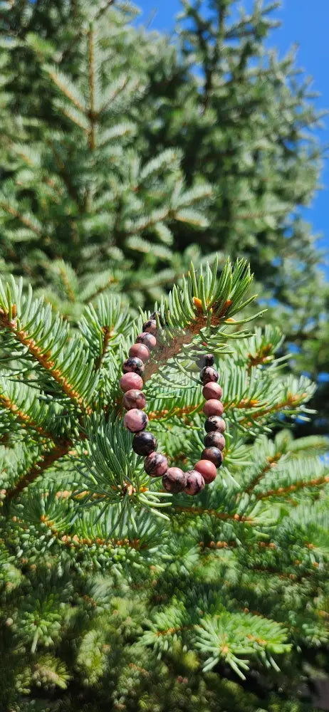 8mm RHODONITE BRACELET