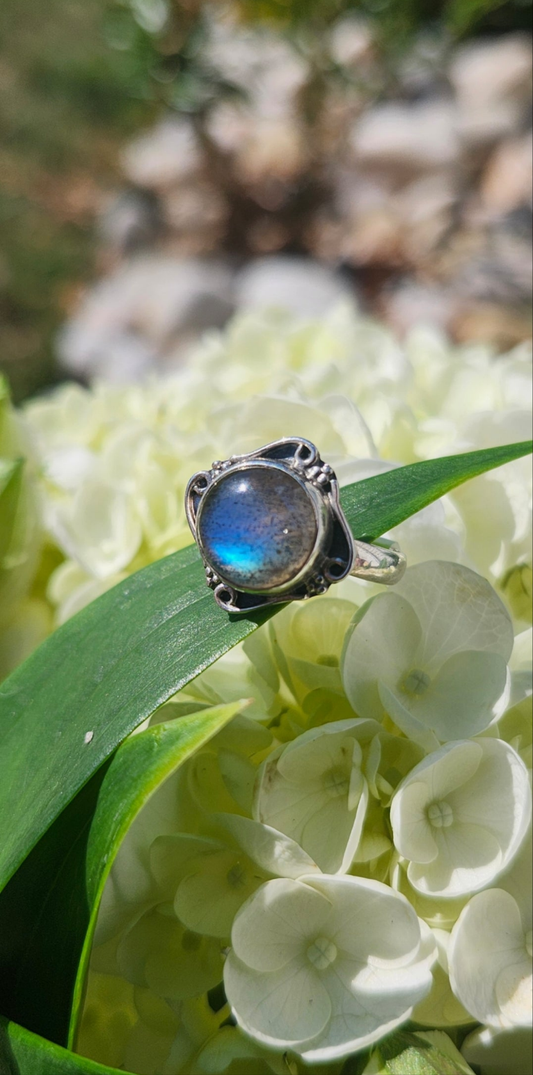 S6 LABRADORITE RING .925 STERLING SILVER