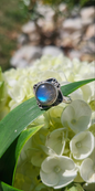 S6 LABRADORITE RING .925 STERLING SILVER