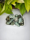 AFRICAN TURQUOISE TUMBLE STONE