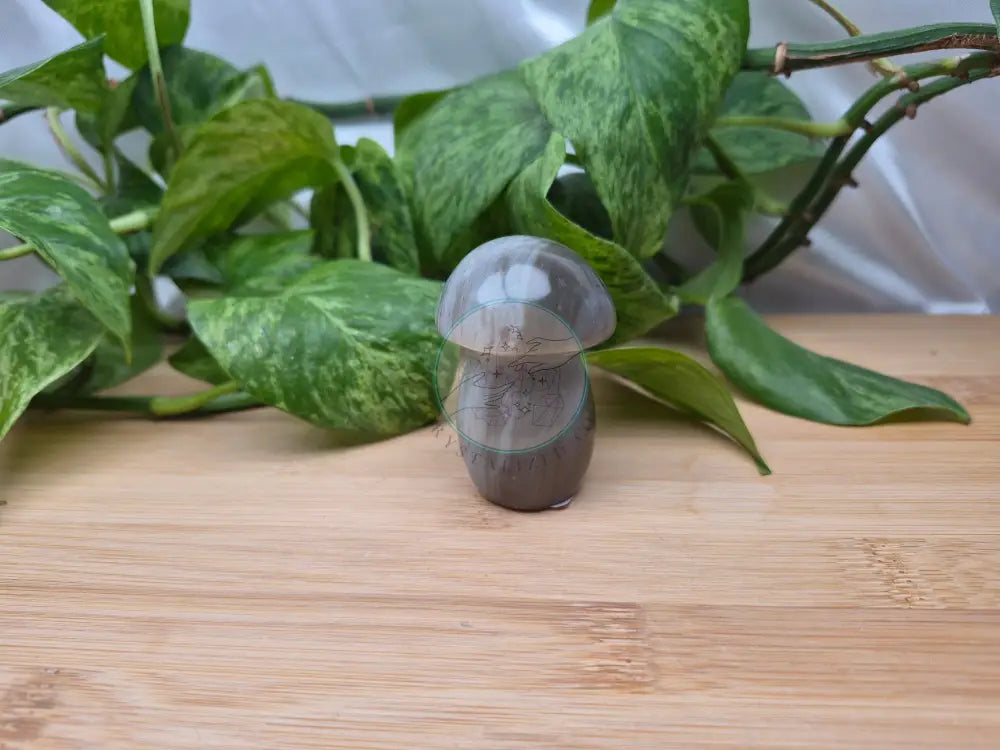 AGATE MUSHROOM