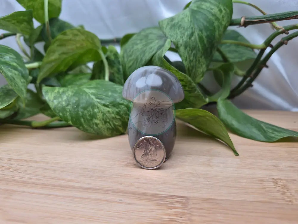 AGATE MUSHROOM