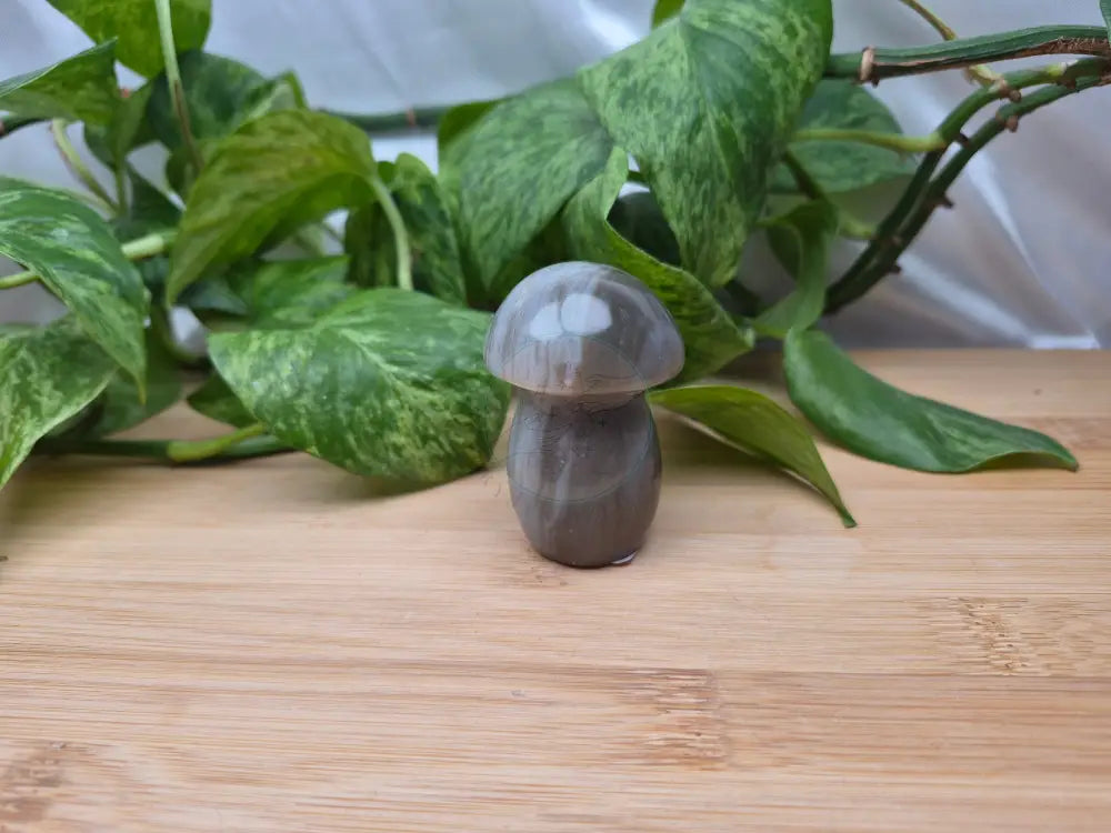 AGATE MUSHROOM