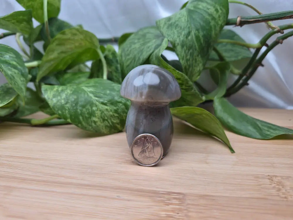 AGATE MUSHROOM