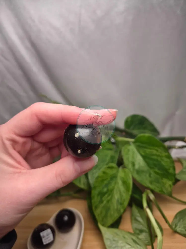 AMBER SPHERE
