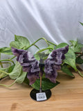 AMETHYST BUTTERFLY WINGS