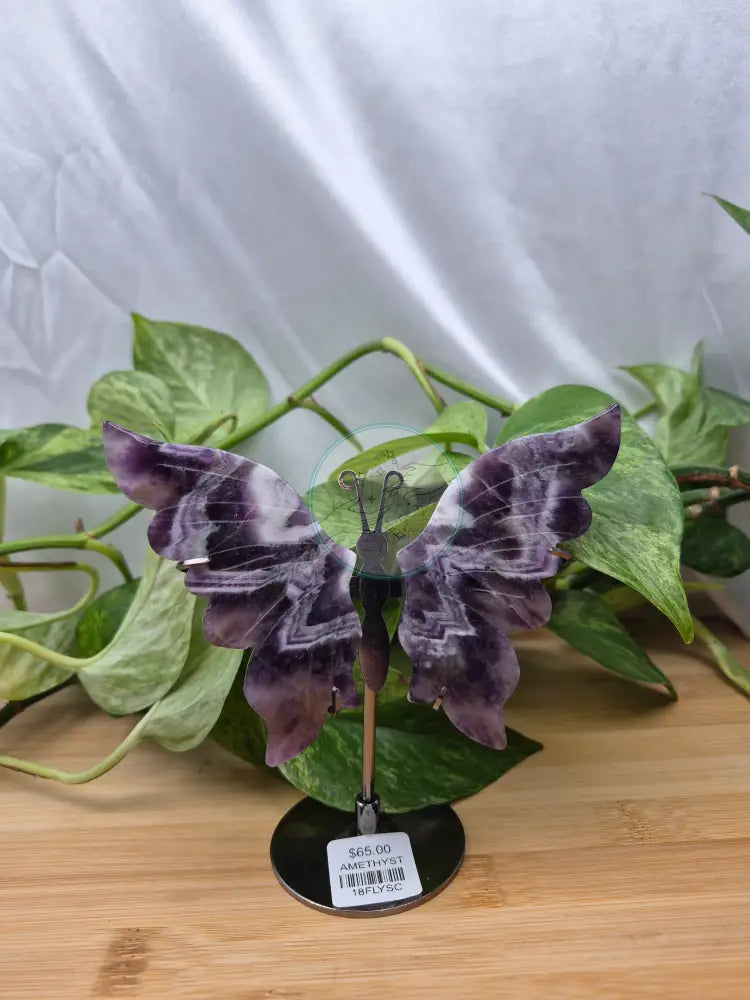 AMETHYST BUTTERFLY WINGS