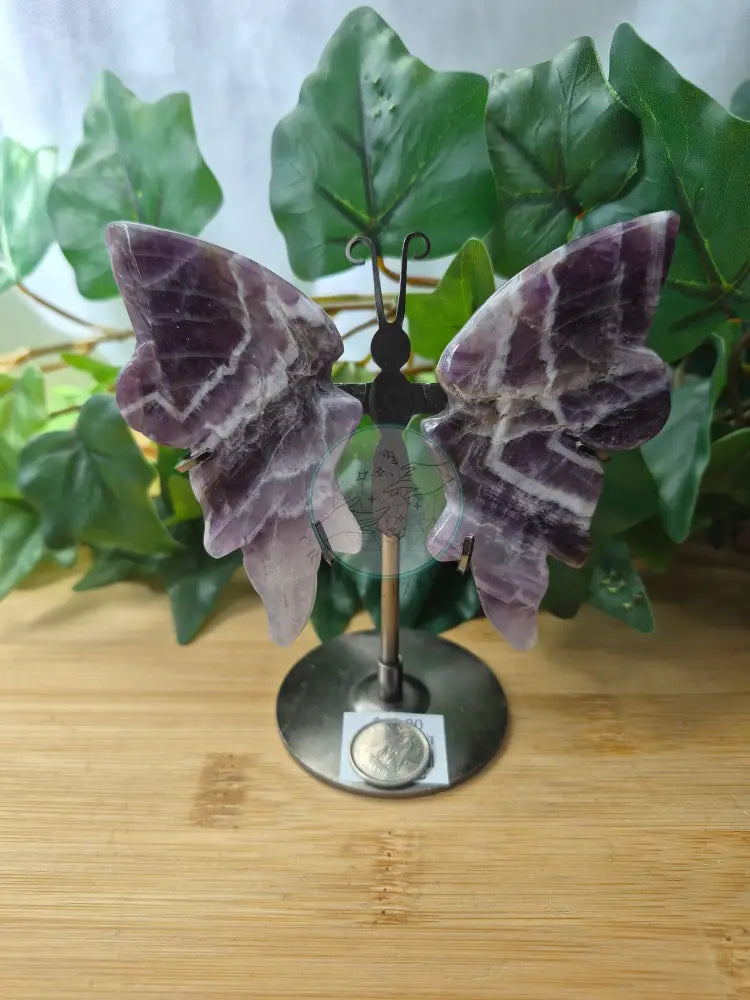 AMETHYST BUTTERFLY WINGS