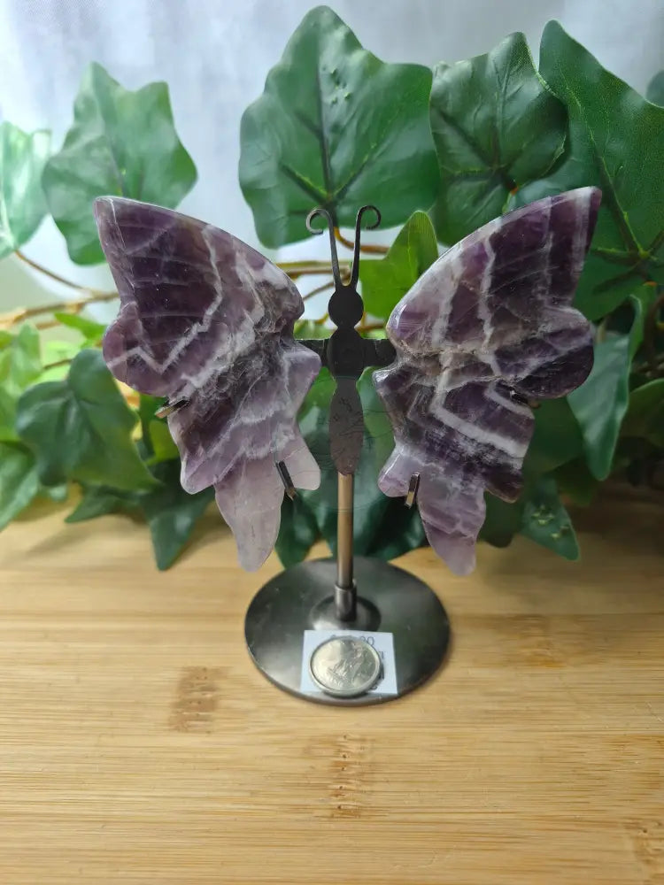 AMETHYST BUTTERFLY WINGS