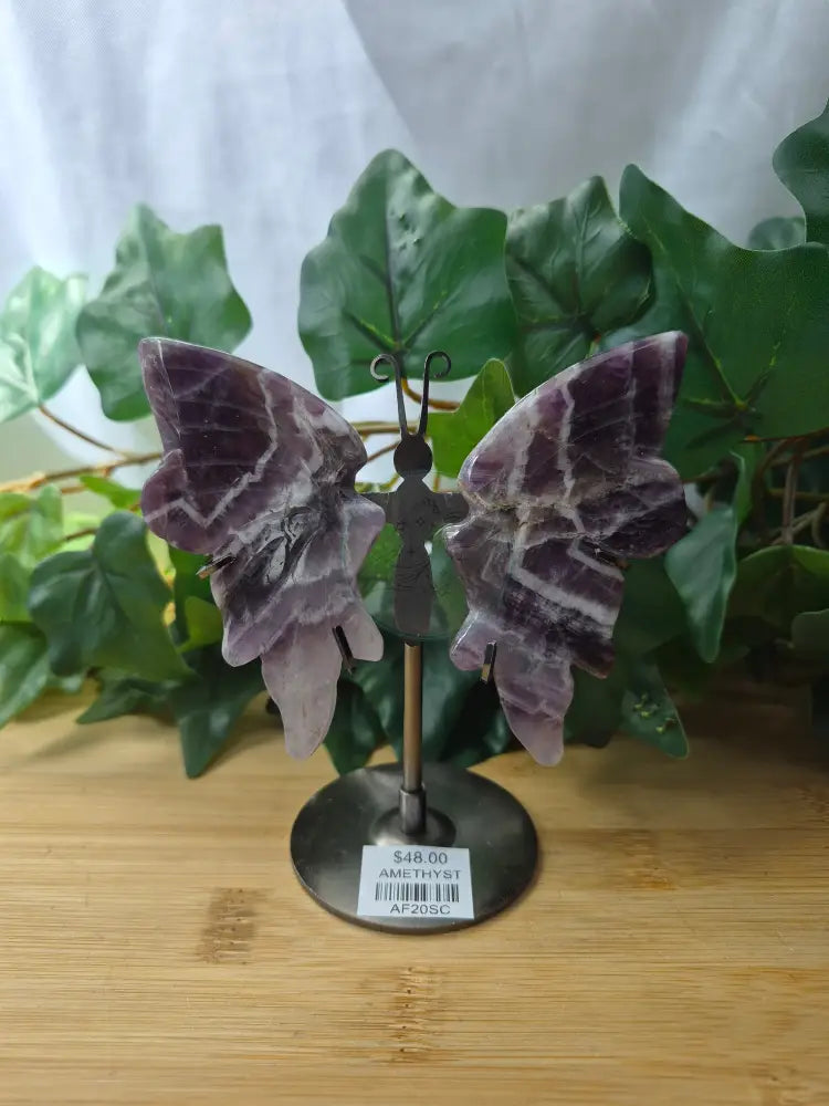 AMETHYST BUTTERFLY WINGS