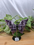 AMETHYST BUTTERFLY WINGS
