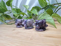 AMETHYST HAUNTER LG