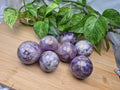 AMETHYST SPHERE