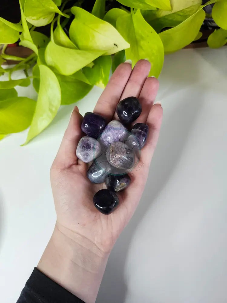 AMETHYST TUMBLED STONE - TUMBLED STONES
