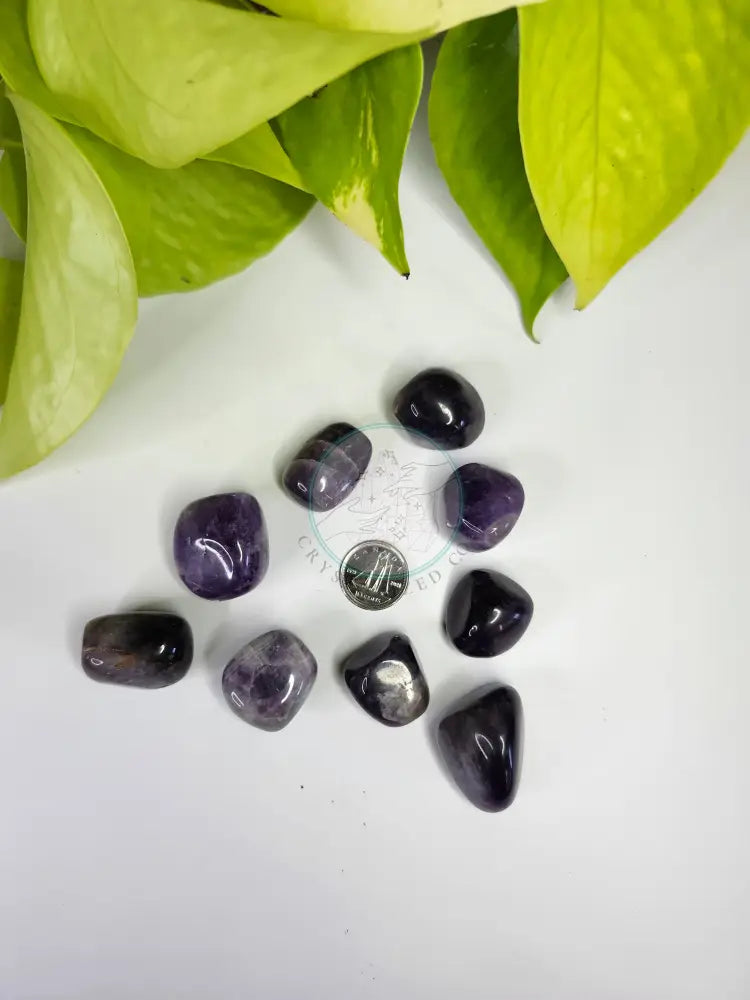 AMETHYST TUMBLED STONE - TUMBLED STONES