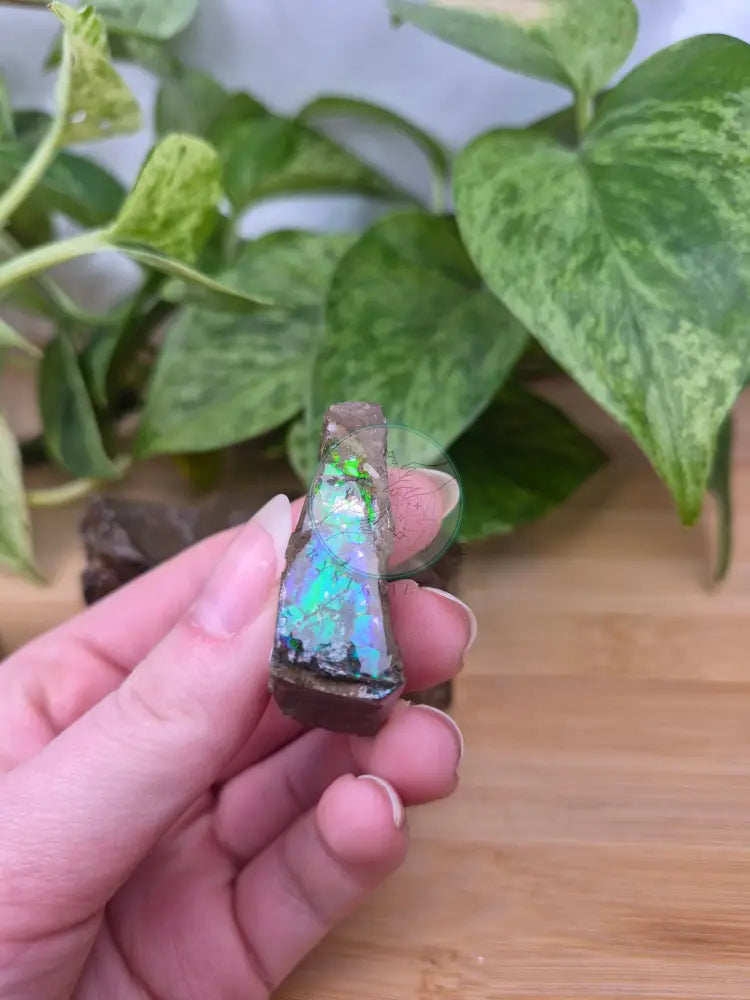AMMOLITE ROUGH CHUNK