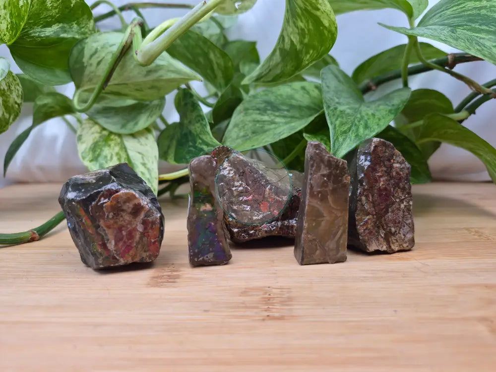 AMMOLITE ROUGH CHUNK