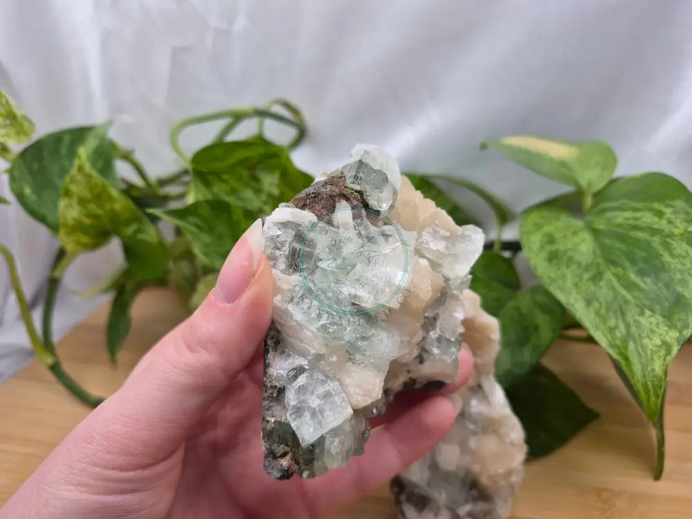 APOPHYLLITE ON STILBITE FREEFORM