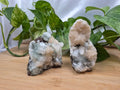 APOPHYLLITE ON STILBITE FREEFORM