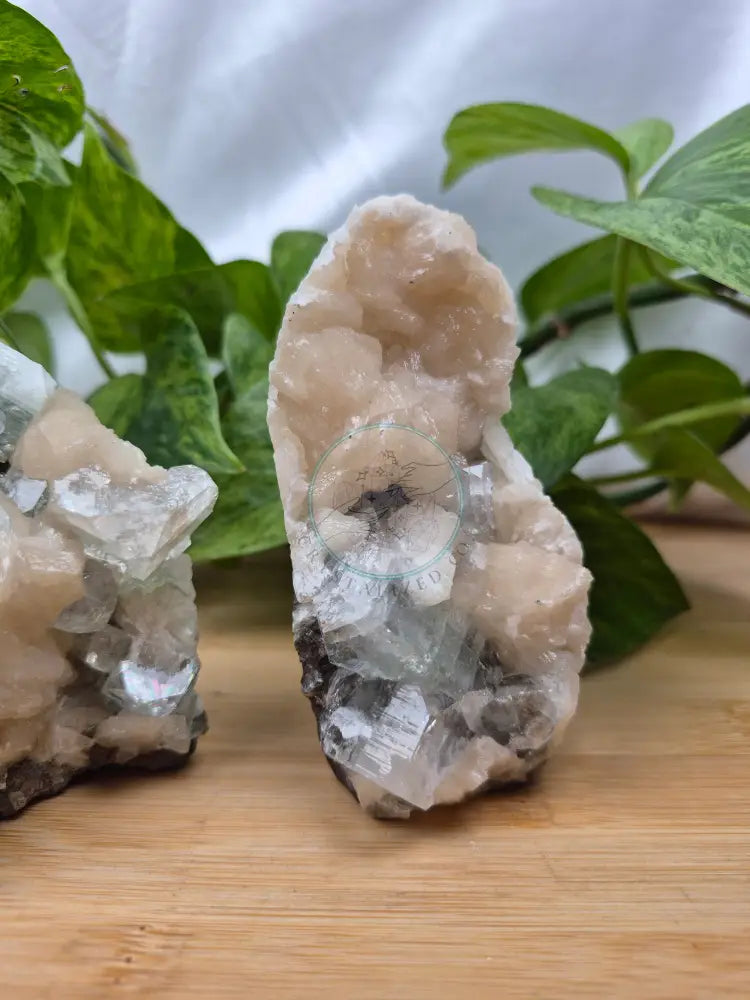 APOPHYLLITE ON STILBITE FREEFORM