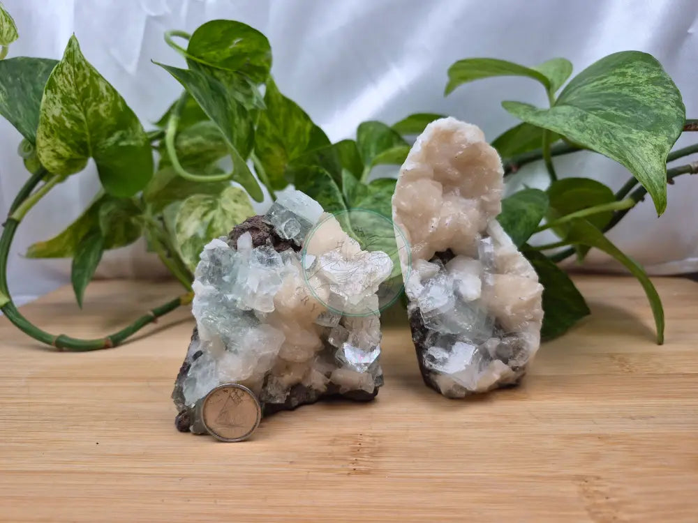 APOPHYLLITE ON STILBITE FREEFORM