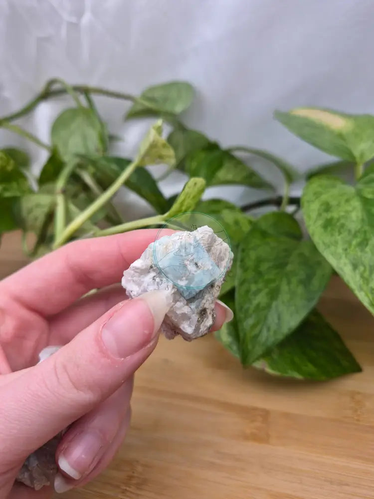 AQUAMARINE CLUSTER