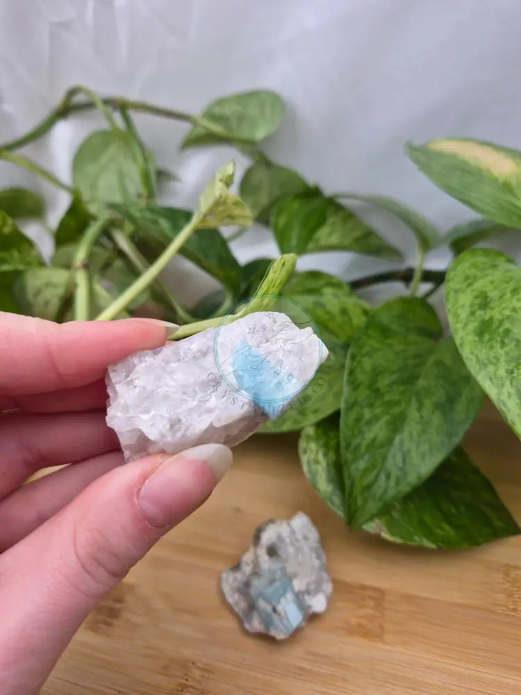 AQUAMARINE CLUSTER