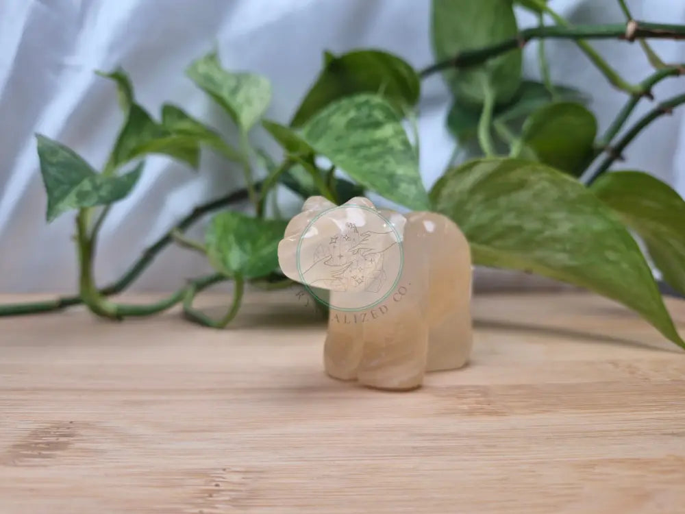 ARAGONITE BEAR