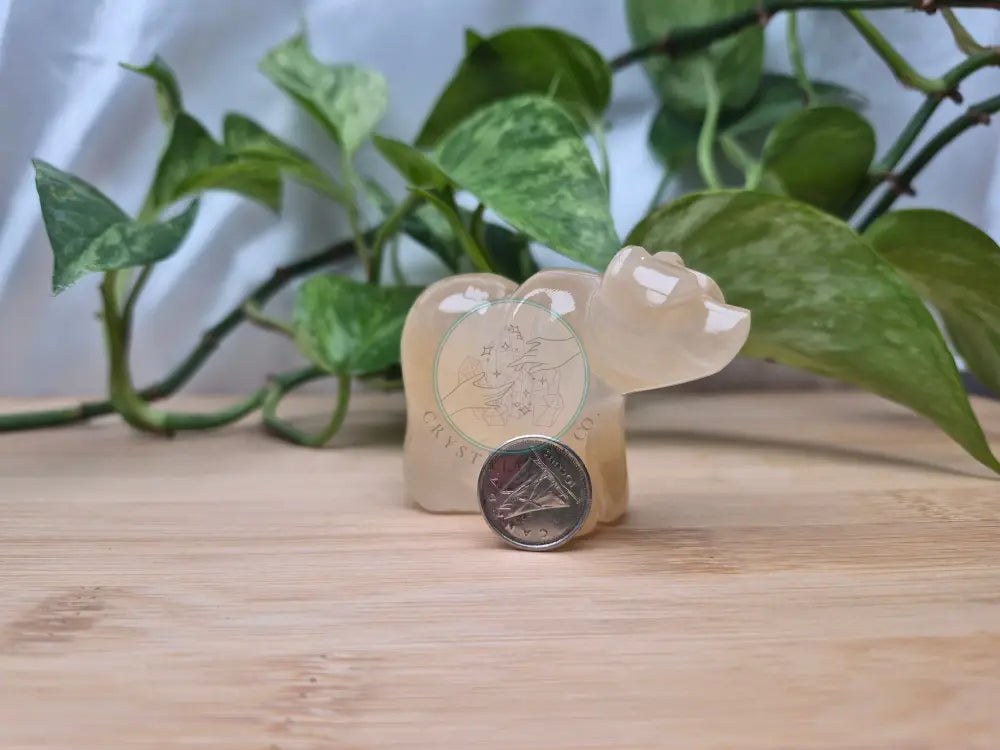 ARAGONITE BEAR
