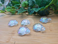 AURA COATED GLASS TURTLE